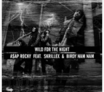 Asap Rocky – Wild For The Night
